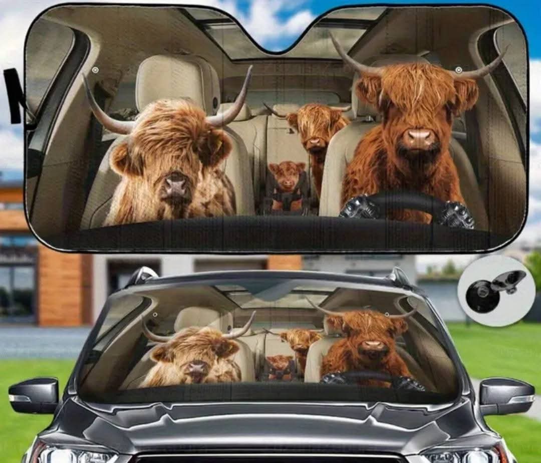 Car Sun shield
