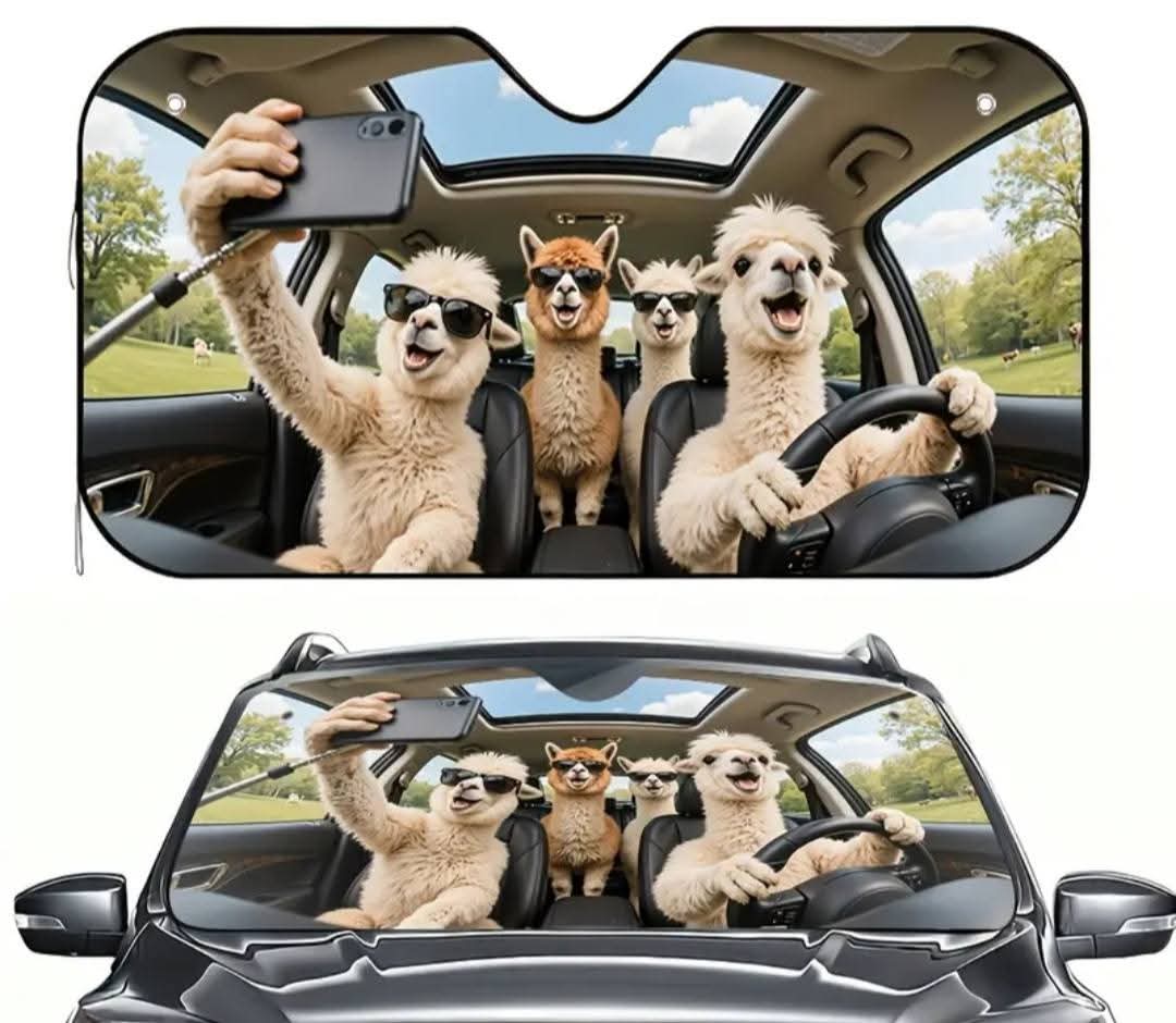 Car Sun shield