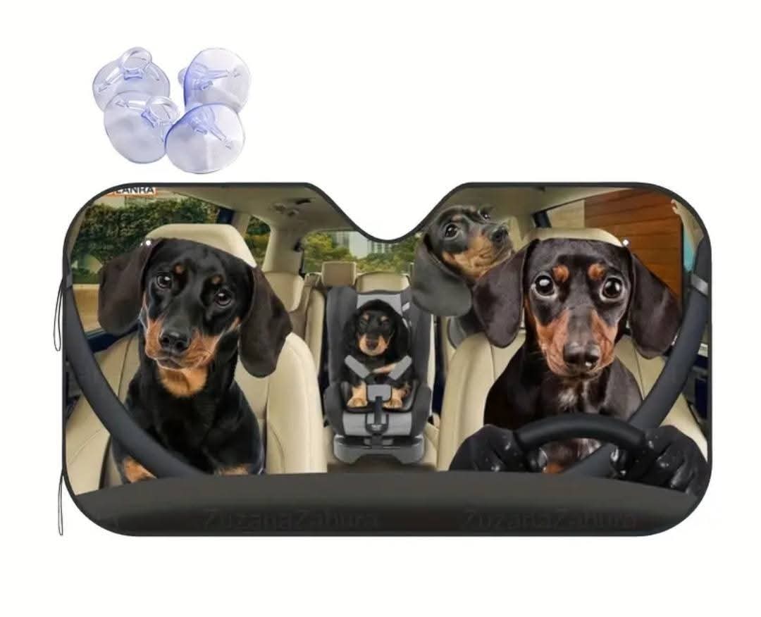 Car Sun shield