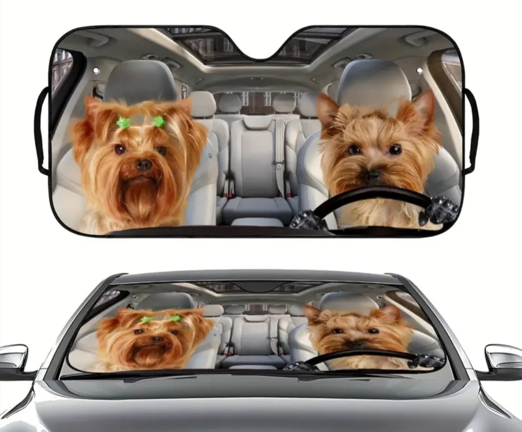Car Sun shield
