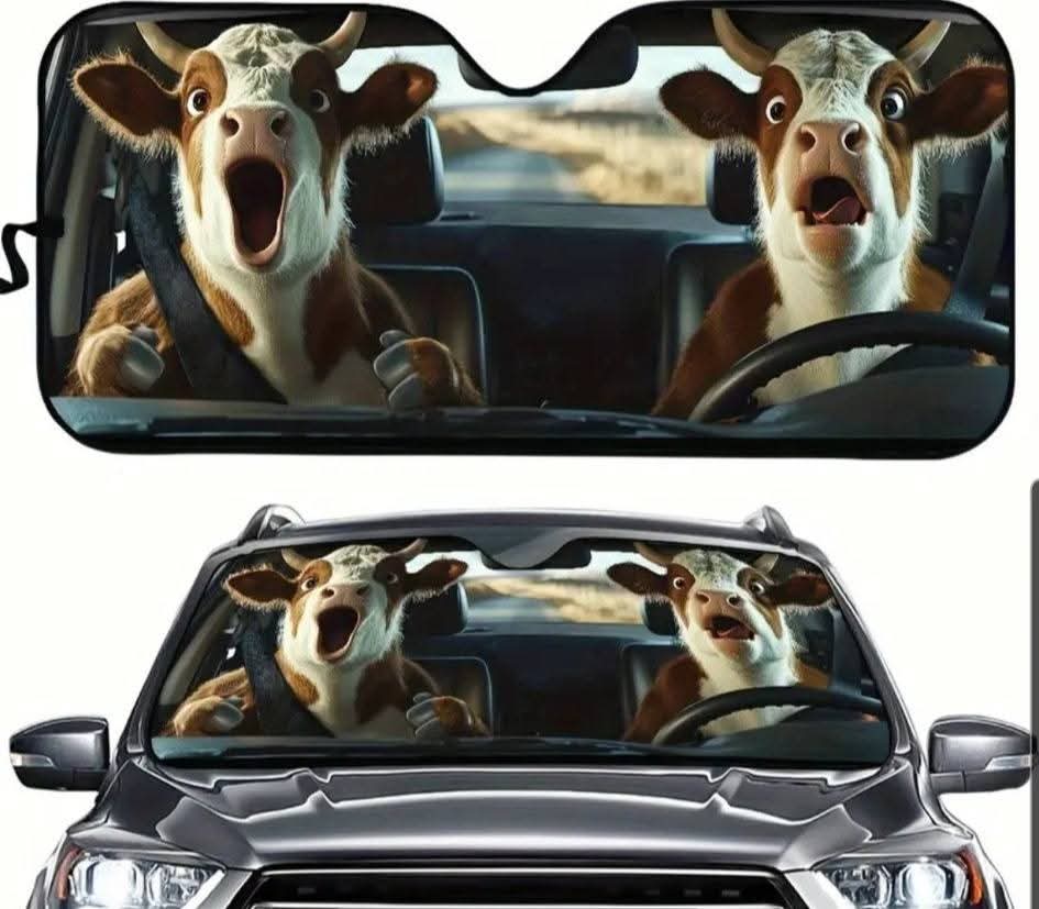 Car Sun shield