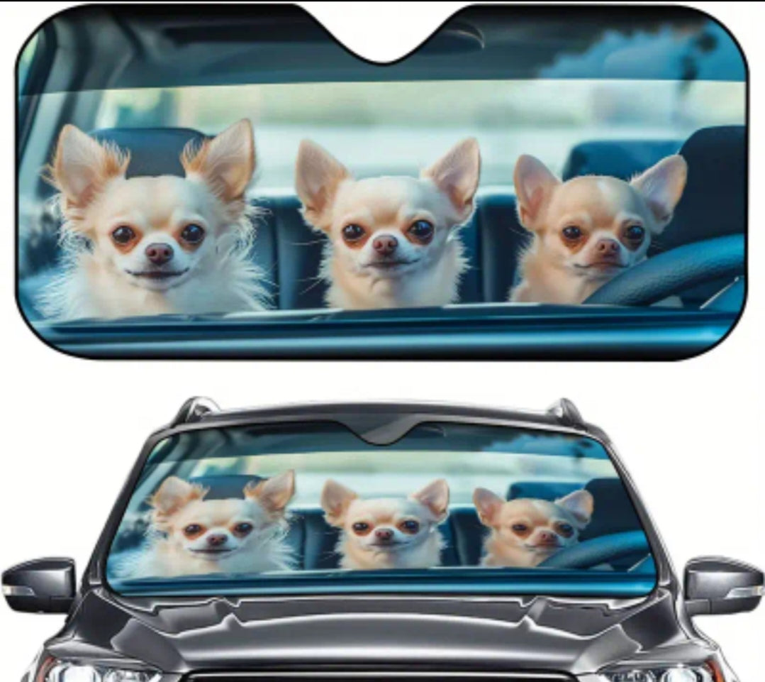 Car Sun shield