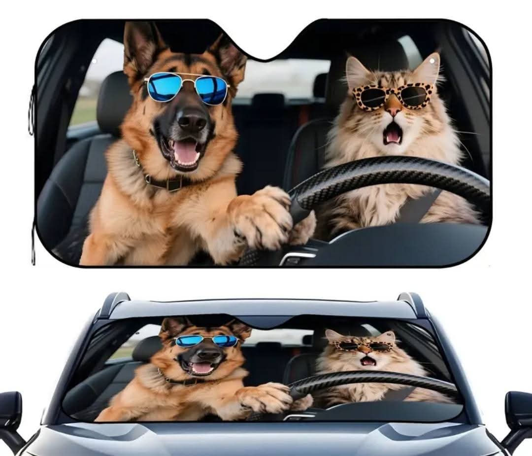 Car Sun shield