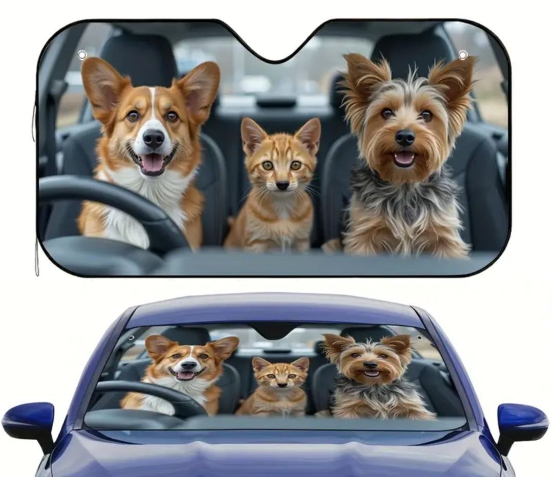 Car Sun shield