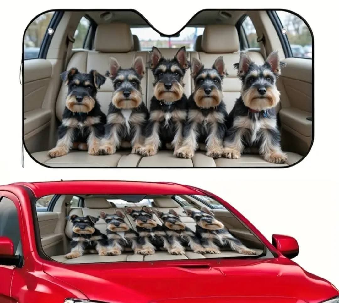 Car Sun shield