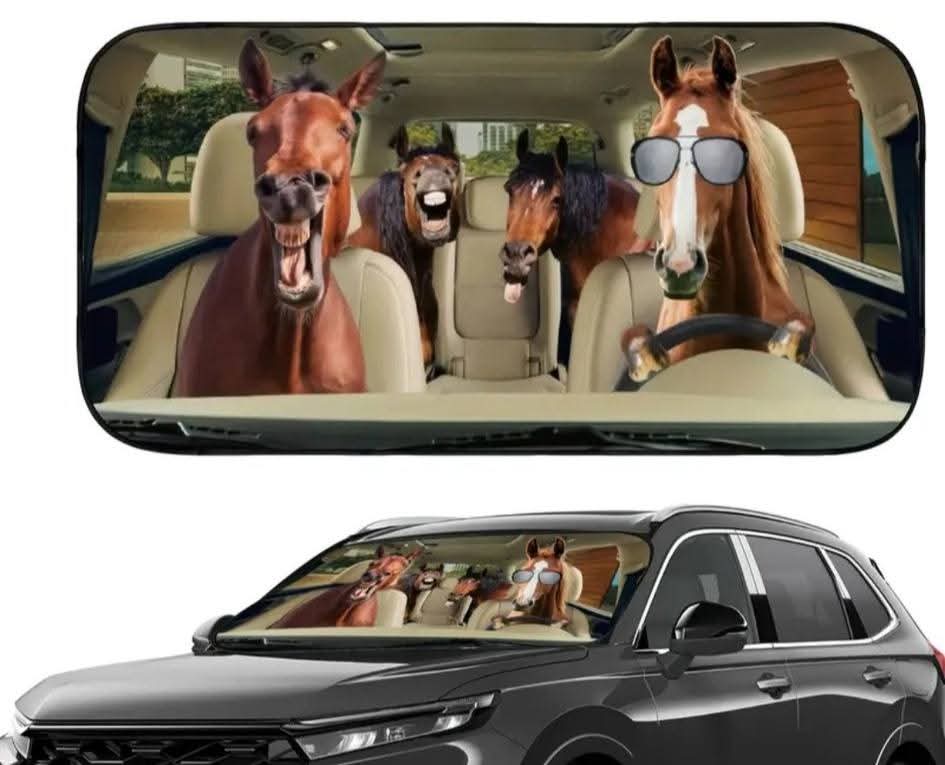 Car Sun shield