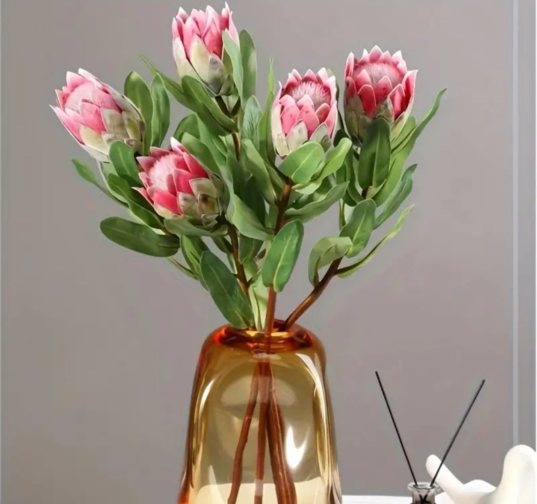 Vintage King Protea