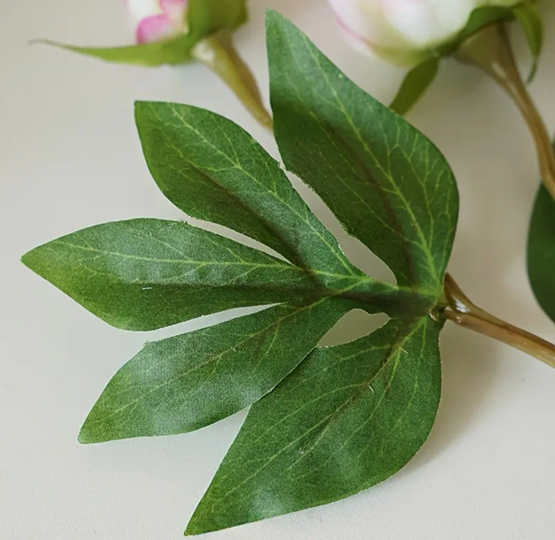 Peony Flower