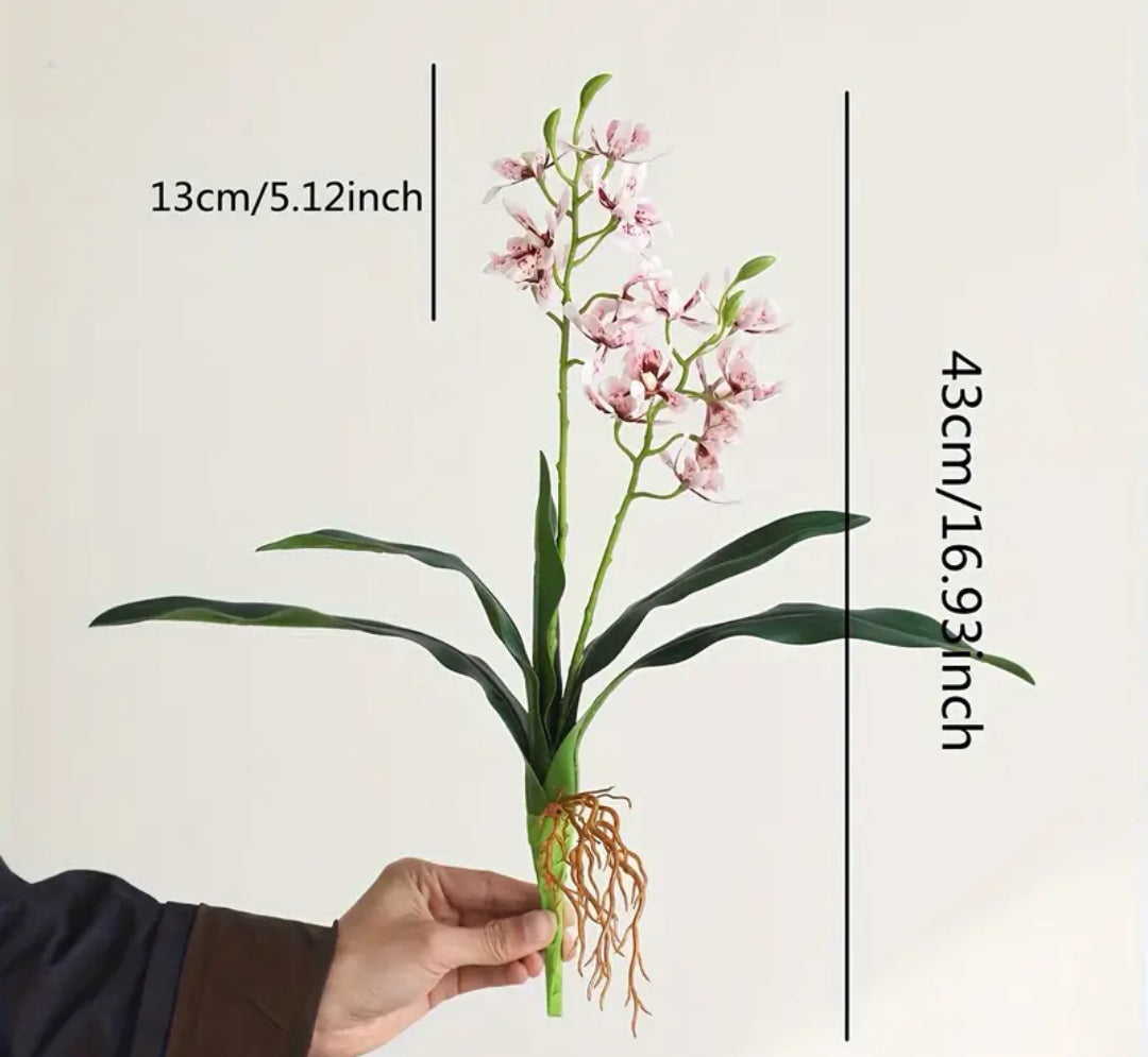 Orchid Simulation plant