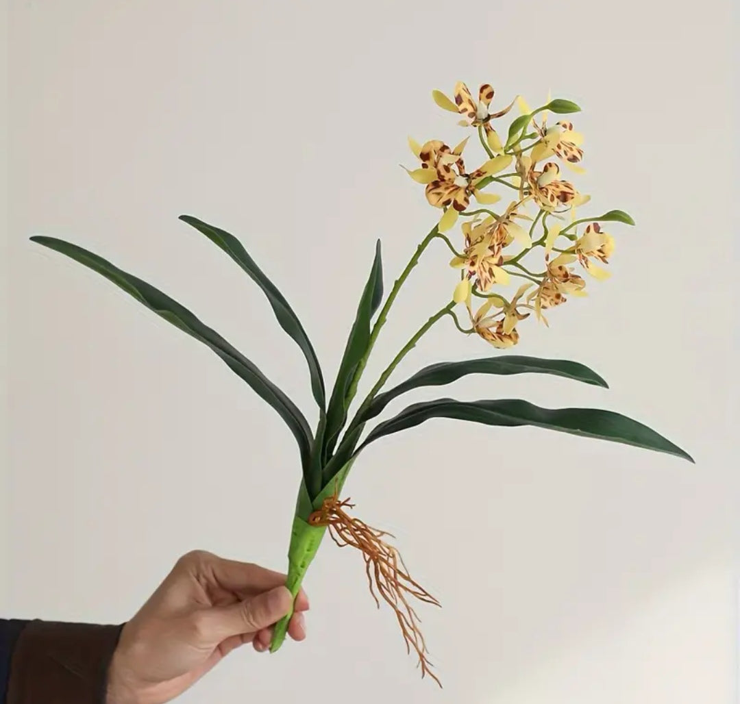 Orchid Simulation plant