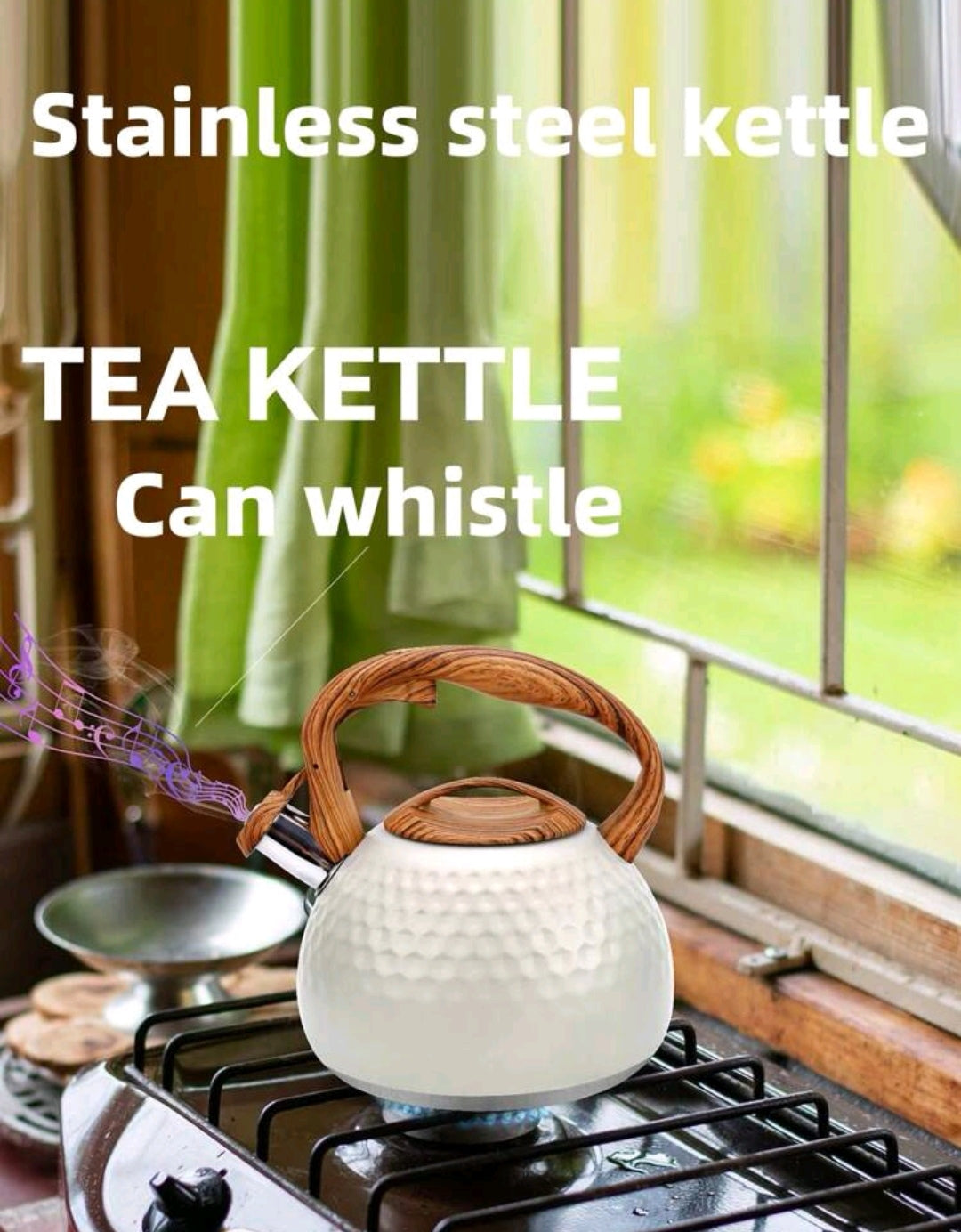 Stainless steel kettle