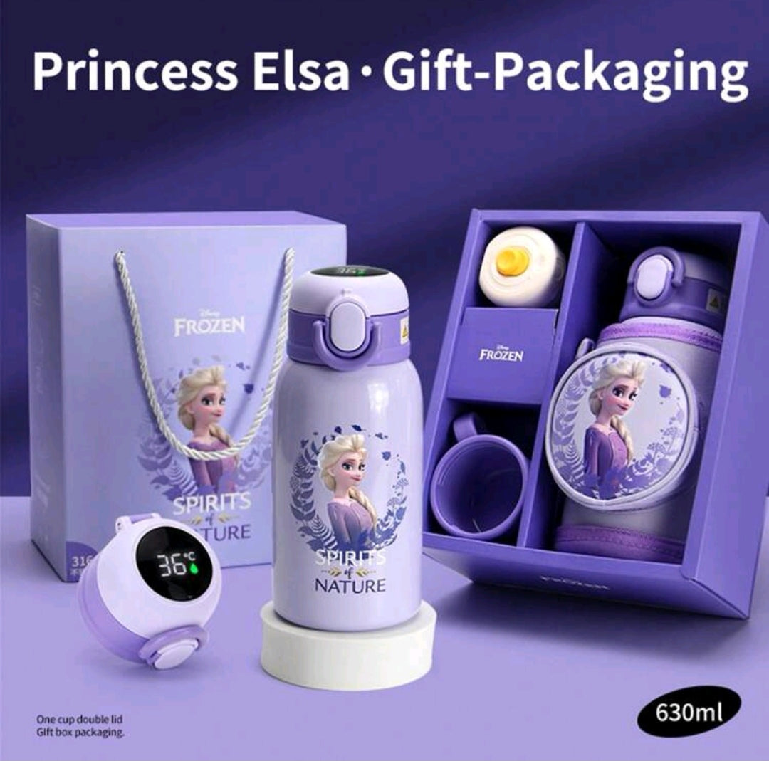 Princess Elsa Gift set