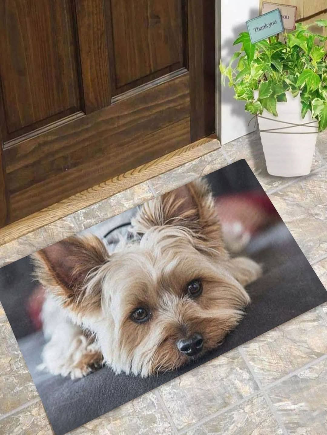 Welcome Mats