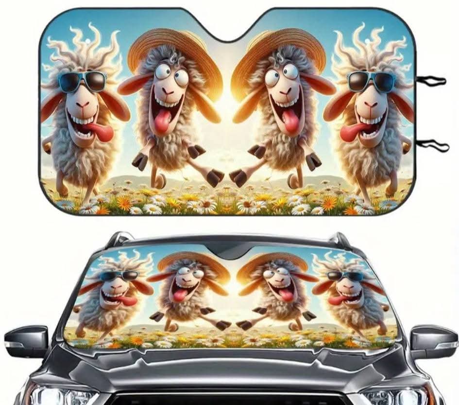 Car Sun shield