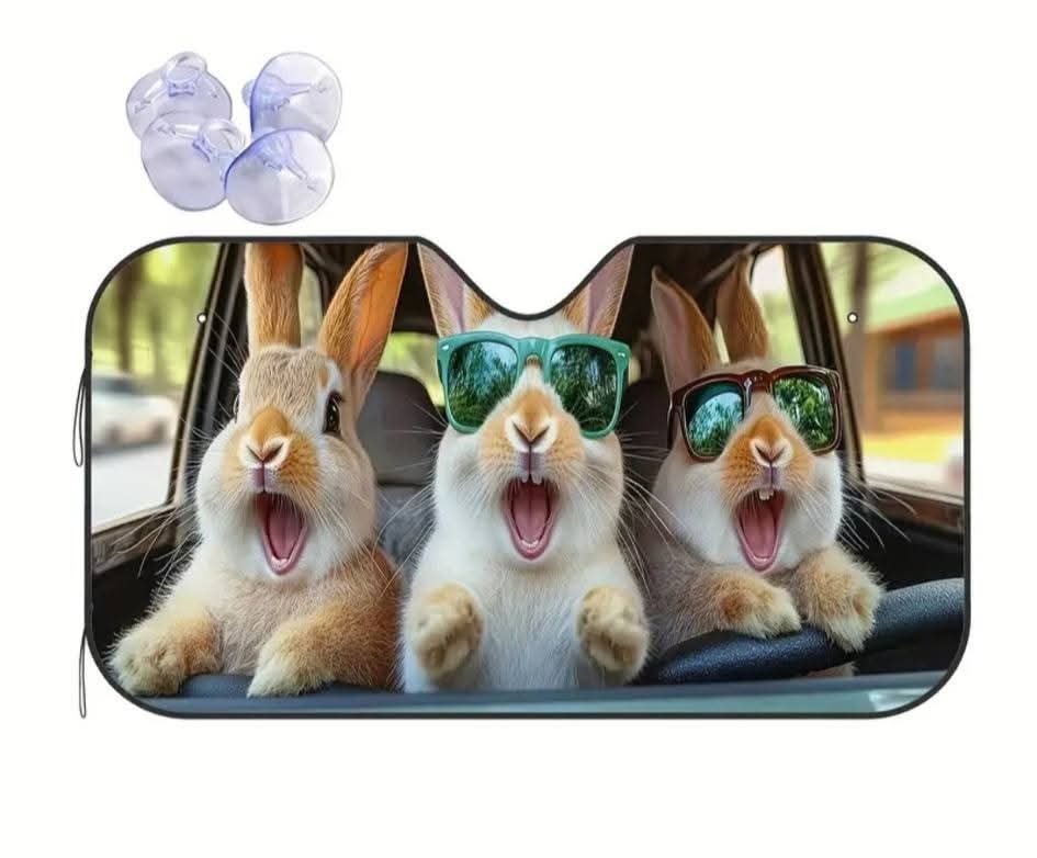 Car Sun shield