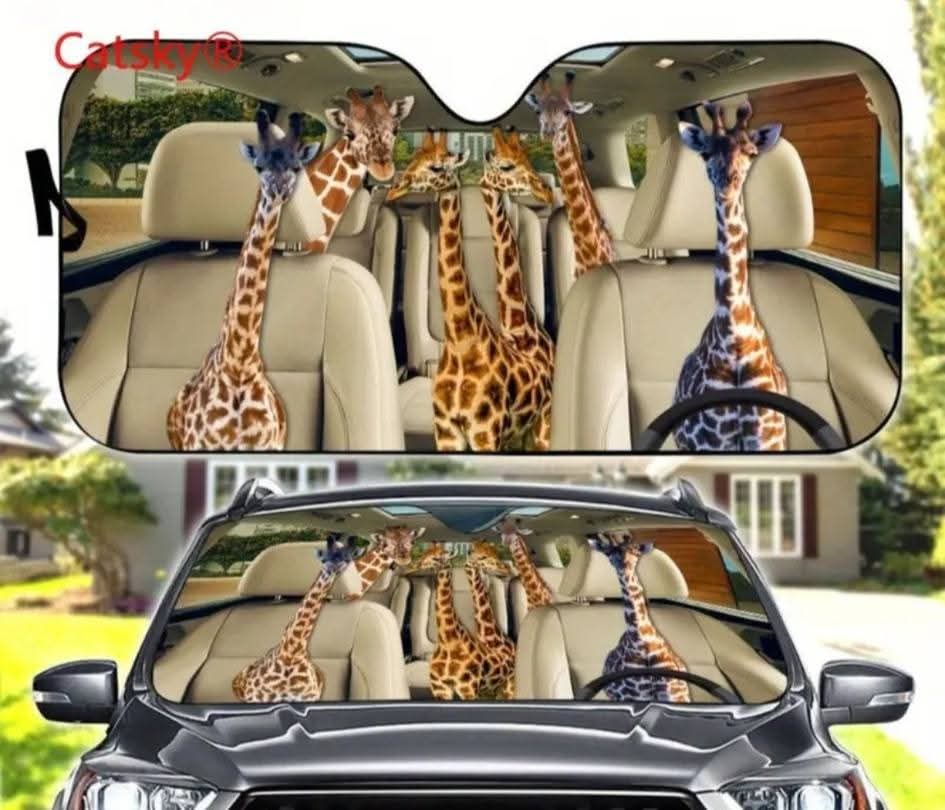 Car Sun shield